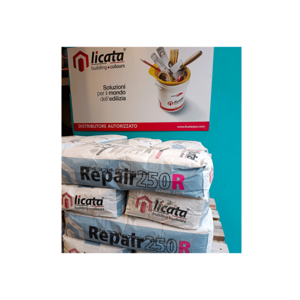 REPAIR 250 R - immagine 2